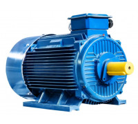 Электродвигатель 5Аи 315 М4 200/1500 IM 1001 01.01.213492