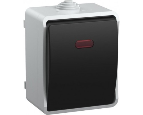 Выключатель одноклавишный IEK Форс ВС20-1-1-ФСр 10А IP54 с индикацией, серый [EVS11-K03-10-54-DC]