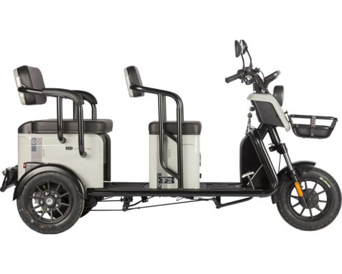 Трицикл WANSHIDA LC300 серый-3077 025552-3077 купить с доставкой и официальной гарантией