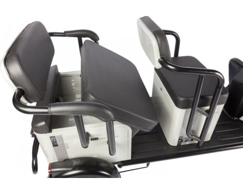 Трицикл WANSHIDA LC300 серый-3077 025552-3077 купить с доставкой и официальной гарантией