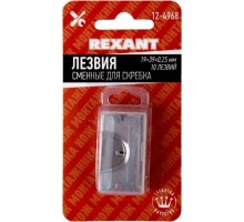 Лезвия REXANT 12-4968 сменные для скребка 19х39х205 мм 10 шт.