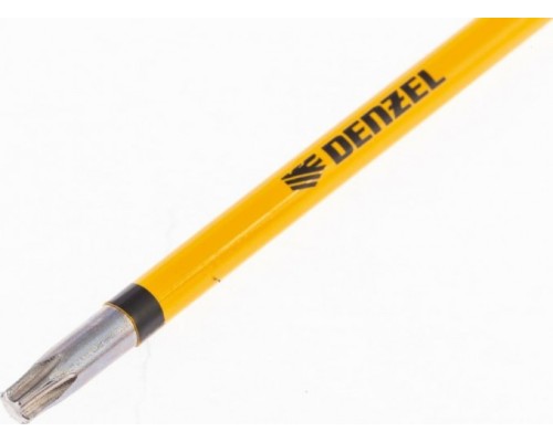 Набор бит DENZEL T20x4 Набор бит DENZEL T20x4