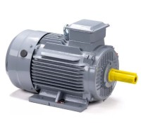 Электродвигатель ESQ PR 160 S2 GST-Б1-S12-IE2 IM 1001 15/3000 01.01.223771