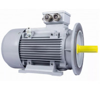 Электродвигатель ESQ PR 160 L2-SDN-Б1-S12-IE2 IM B35 18.5/3000 01.05.02.000022