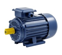 Электродвигатель БЭЗ АИР 90L6 IM1081 35812