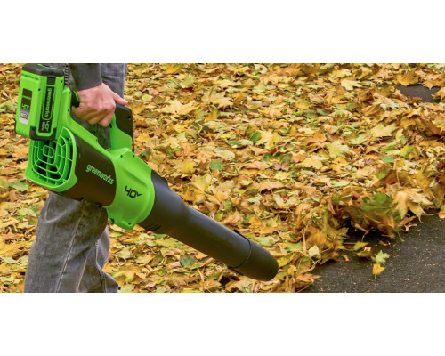Воздуходувка аккумуляторная GREENWORKS GD40BG3 40V, АКБ 8Ач и ЗУ 2408207UH купить с доставкой и официальной гарантией