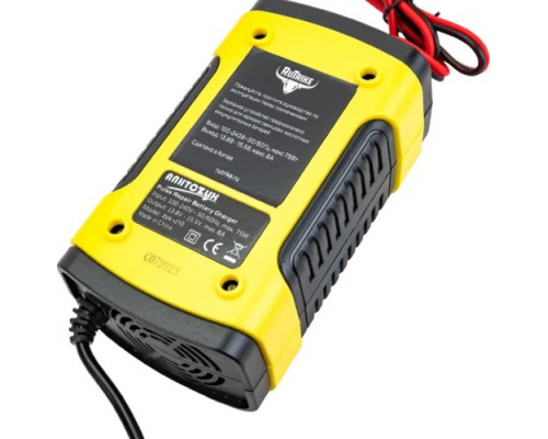 Зарядное устройство RUTRIKE 12V2-100AН для свинцовых тяговых аккумуляторов 023187