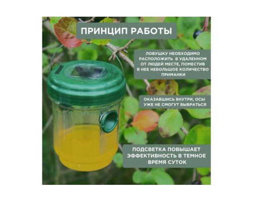 Ловушка для ос REXANT 71-0031 R 30м, на солнечной батарее Ловушка для ос REXANT 71-0031 R 30м, на солнечной батарее