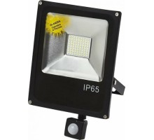 Прожектор GLANZEN FAD-0013-50 SMD IP65 6000K с датчиком движения