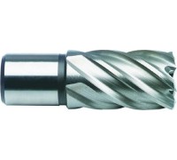 Сверло по металлу корончатое D.BOR (3/4''), HSS-Co, 19,0*30/55 мм с хв. weldon 19 мм  W-041-474190102D