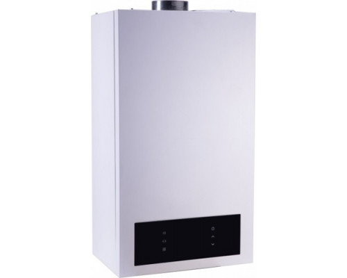 Котел газовый HUBERT AGB 13 DP 1925213 купить с доставкой и официальной гарантией