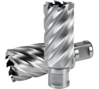 Сверло по металлу Профоснастка D53 L=55/88 мм №47 WELDON19 HSS M2 корончатое 40101047