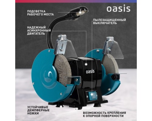 Станок заточной OASIS ZS-30L [4640039483885]