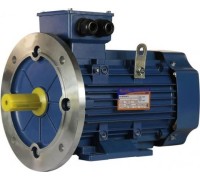 Электродвигатель 5Аи 100 S4 3/1500 IM 2081 01.01.213557