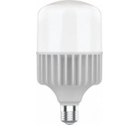 Лампа светодиодная GAUSS T140 elementary 80w 6400lm 6500k e40 led 63438