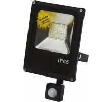 Прожектор GLANZEN FAD-0012-30 SMD IP65 6000K с датчиком движения