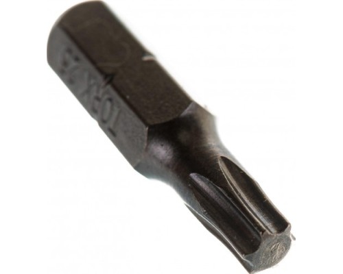 Бита для заворачивания D.BOR TORX 25, 25 мм (арт. d-t25-025-010) (10 шт.) [D06-DT25025010]