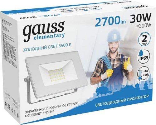 Прожектор GAUSS Elementary 30w 2700lm 6500k 200-240v ip65 белый led [613120330]