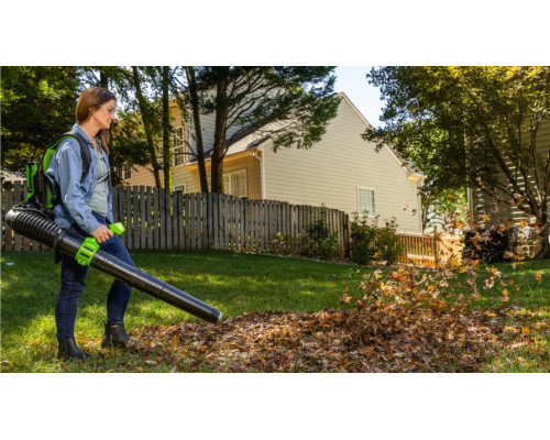 Воздуходувка аккумуляторная GREENWORKS GD40BPG2 40V, ранцевая, б/щ, АКБ 4Ач и ЗУ 2408107UB купить с доставкой и официальной гарантией