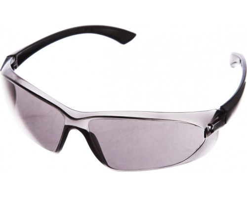 Очки защитные ADA VISOR BLACK [А00505]