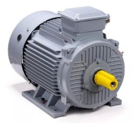 Электродвигатель ESQ PR 280 S6 GST-Б1-S12-IE2 IM 1001 75/1000 01.01.223810