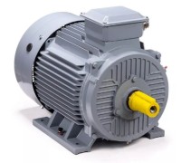 Электродвигатель ESQ PR 280 M4 GST-Б1-S12-IE2 IM 1001 132/1500 01.01.223811
