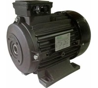 Электромотор RAVEL H100 HP 5.5 4P MA AC KW4 4P 1901А