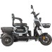 Трицикл WANSHIDA UN MOTO черный-3102 025578-3102 купить с доставкой и официальной гарантией