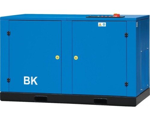 Винтовой компрессор безмасляный REMEZA ВК- 60 2,5 Винтовой компрессор безмасляный REMEZA ВК- 60 2,5