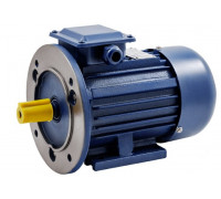 Электродвигатель БЭЗ АИР 100L6 IM1081 85169