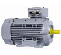 Электродвигатель ESQ PR 100 LB4-SDN-Б1-S12-IE3 IM B34 3/1500 01.05.02.000131