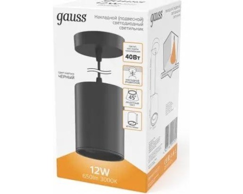 Потолочный светодиодный светильник GAUSS HD038 overhead подвес цил12w 660lm 3000k Потолочный светодиодный светильник GAUSS HD038 overhead подвес цил12w 660lm 3000k
