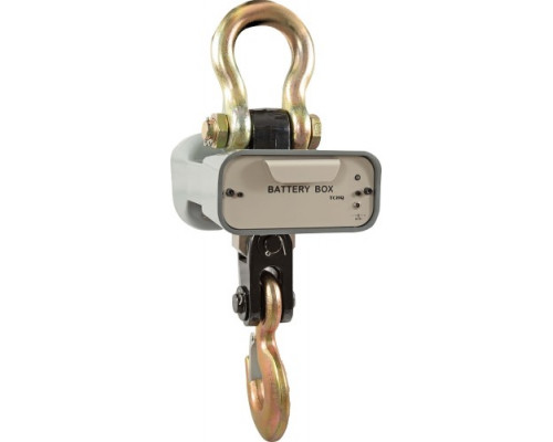 Весы крановые Cas CASTON I 2 THA (до 2 т) 77-00033548