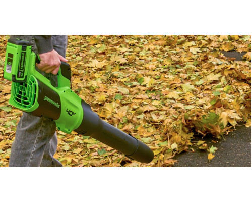 Воздуходувка аккумуляторная GREENWORKS GD40BG3 40V, АКБ 4Ач и ЗУ 2408207UB купить с доставкой и официальной гарантией