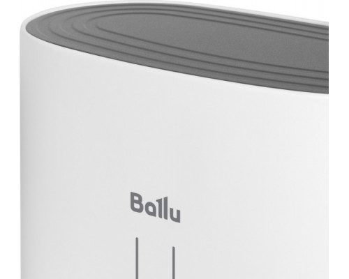 Водонагреватель BALLU BWH/S 100 Cetrion Inox Inverter [НС-1605919]
