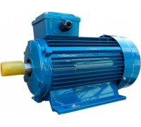 Электродвигатель 5Аи 90 L6 1.5/1000 IM 1081 01.01.213463