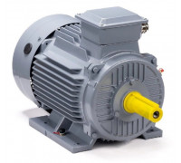 Электродвигатель ESQ PR 100 L4 GST-Б1-S12-IE2 IM 1081 4/1500 01.01.223749