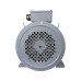 Электродвигатель ESQ PR 112 M6-SDN-Б1-S12-IE2 IM B35 2.2/1000 01.05.02.222783