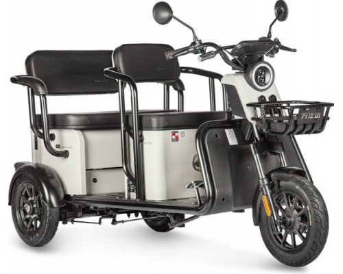 Трицикл WANSHIDA LC300 серый-3077 025552-3077 купить с доставкой и официальной гарантией