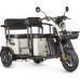 Трицикл WANSHIDA LC300 серый-3077 025552-3077 купить с доставкой и официальной гарантией