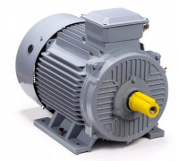 Электродвигатель ESQ PR 280 S4 GST-Б1-S12-IE2 IM 1001 110/1500 01.01.223809