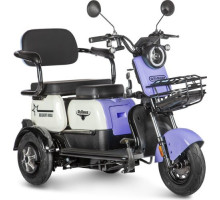 Трицикл GELBERT Vega 48V/60V фиолетовый-3067 025541-3067