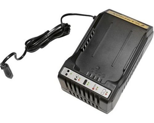 Зарядное устройство для аккумуляторов CHAMPION 36 В Li-Ion CH360 [CH360]