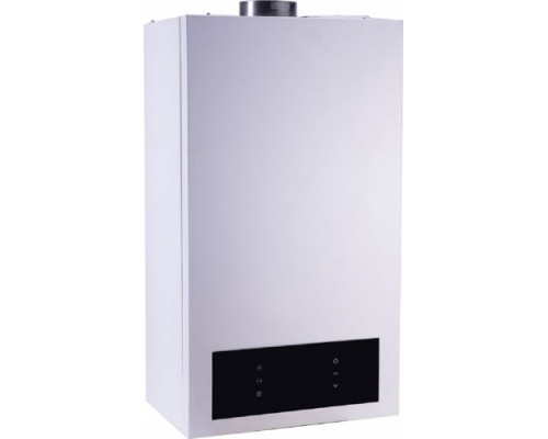 Котел газовый HUBERT AGB 10 DP 1925210 купить с доставкой и официальной гарантией