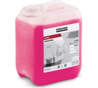 Средство специальное KARCHER SanitPro CA 10 C eco!perform (5 л) чистящее 6.295-678.0