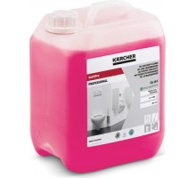 Средство специальное KARCHER SanitPro CA 10 C eco!perform (5 л) чистящее 6.295-678.0