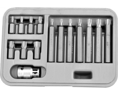 Набор бит ЗУБР TORX 15 пред. [2651-H15_z01]