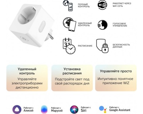 Сетевой переходник GAUSS Smart home (умная розетка) 2300w 207-253v [5510122]