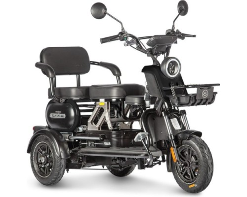 Трицикл WANSHIDA UN MOTO черный-3102 025578-3102 купить с доставкой и официальной гарантией