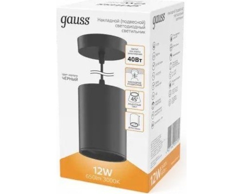 Потолочный светодиодный светильник GAUSS HD038 overhead подвес цил12w 660lm 3000k Потолочный светодиодный светильник GAUSS HD038 overhead подвес цил12w 660lm 3000k